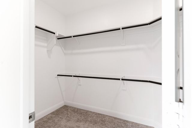 3915 Aventino Court, Sachse, TX 75048