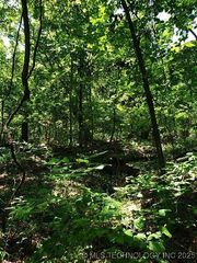 1 Jackson Mountain Road, Marble City, OK 74945
