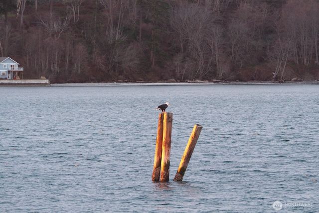 8208 Sandy Hook Drive, Clinton, WA 98236