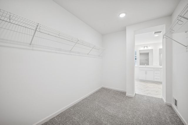 14955 116th Avenue N, Dayton, MN 55369