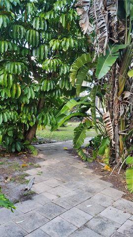 1412 CR 482N, Lake Panasoffkee, FL 33538