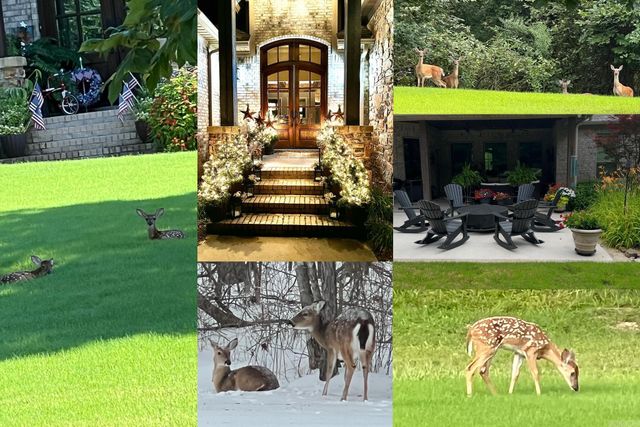 2008 Boulder, Little Rock, AR 72210