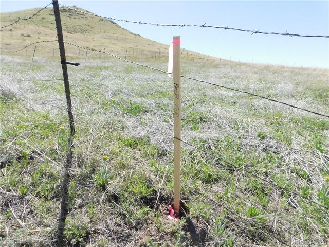 11972 Haskel Creek Road, Larkspur, CO 80118