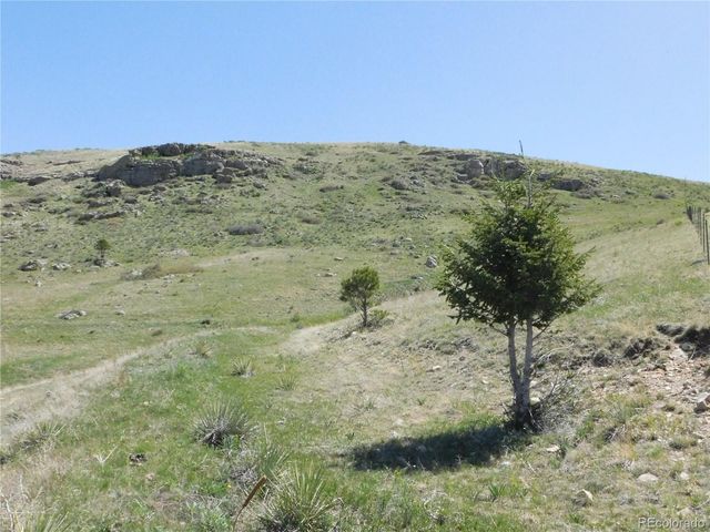 11972 Haskel Creek Road, Larkspur, CO 80118