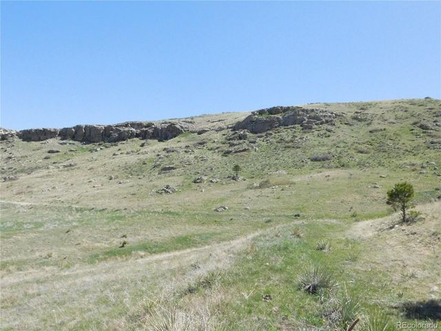 11972 Haskel Creek Road, Larkspur, CO 80118