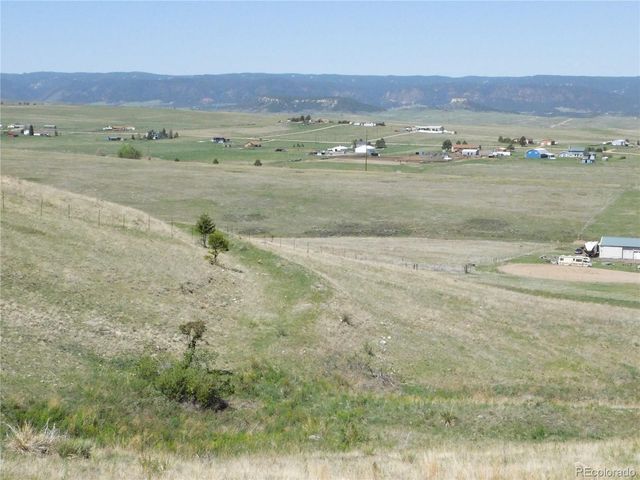 11972 Haskel Creek Road, Larkspur, CO 80118