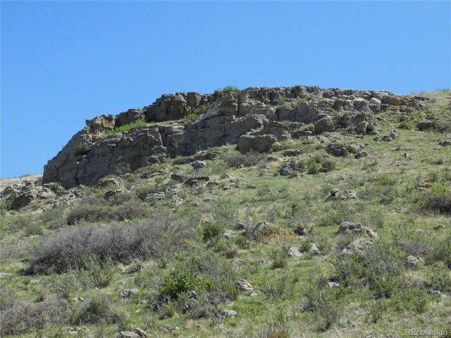 11972 Haskel Creek Road, Larkspur, CO 80118