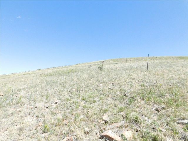 11972 Haskel Creek Road, Larkspur, CO 80118