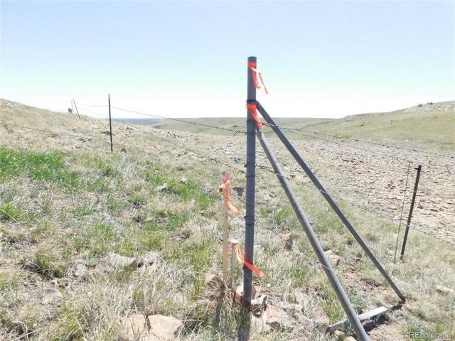 11972 Haskel Creek Road, Larkspur, CO 80118