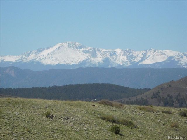 11972 Haskel Creek Road, Larkspur, CO 80118