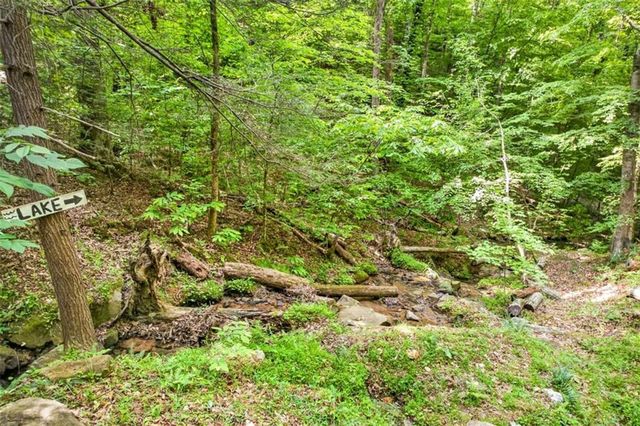 285 Julep Circle, Ellijay, GA 30540