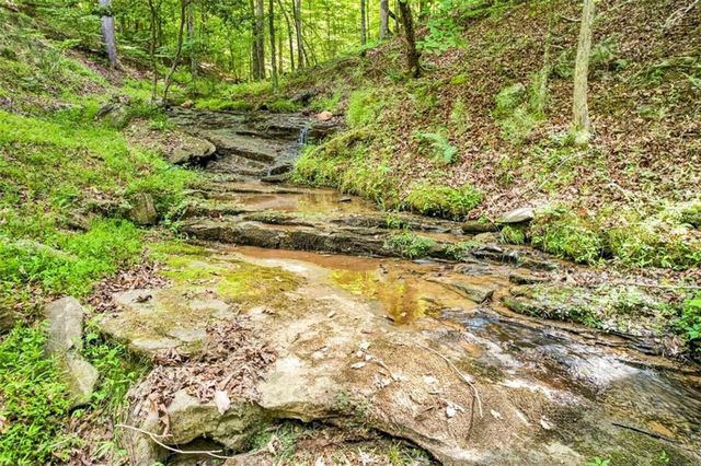 285 Julep Circle, Ellijay, GA 30540