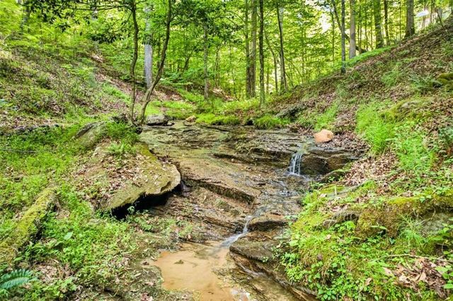 285 Julep Circle, Ellijay, GA 30540