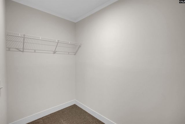 151 Noah Lucas Road, Lexington, SC 29073