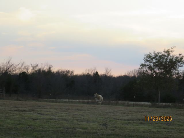 1780 County Road 4109, Campbell, TX 75422