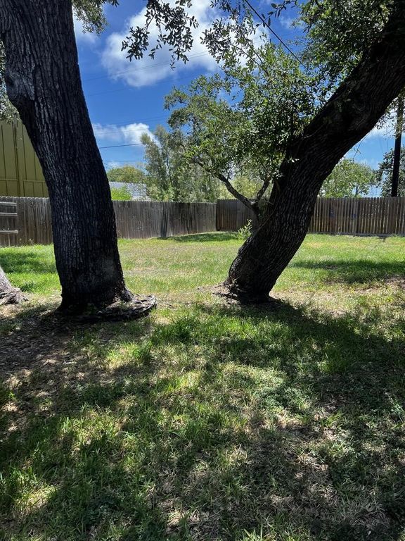131 S Rife, Aransas Pass, TX 78335 — photo 3