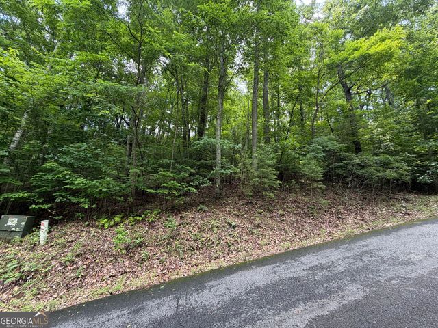 LOT 6 & 7 Mill Ridge Road, Hiawassee, GA 30546