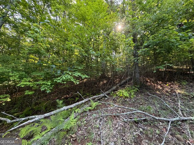 LOT 6 & 7 Mill Ridge Road, Hiawassee, GA 30546