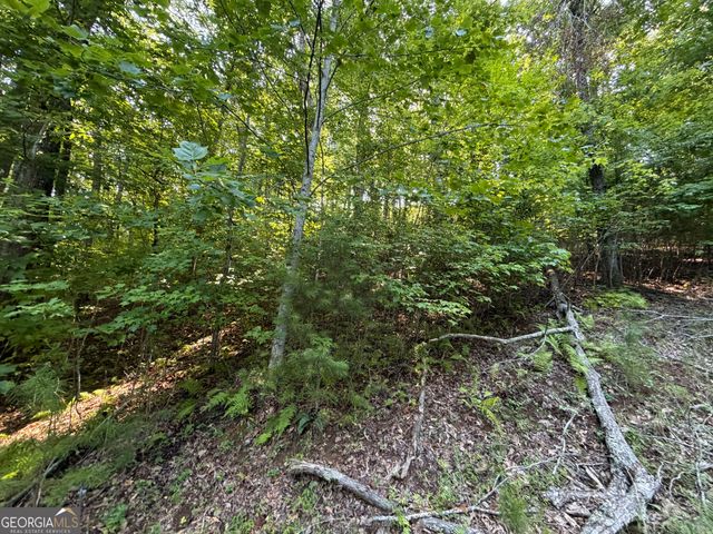 LOT 6 & 7 Mill Ridge Road, Hiawassee, GA 30546