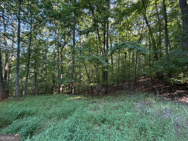 LOT 6 & 7 Mill Ridge Road, Hiawassee, GA 30546