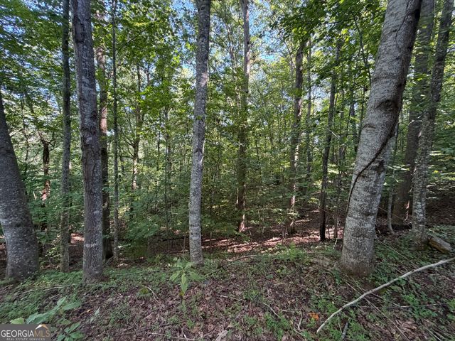 LOT 6 & 7 Mill Ridge Road, Hiawassee, GA 30546