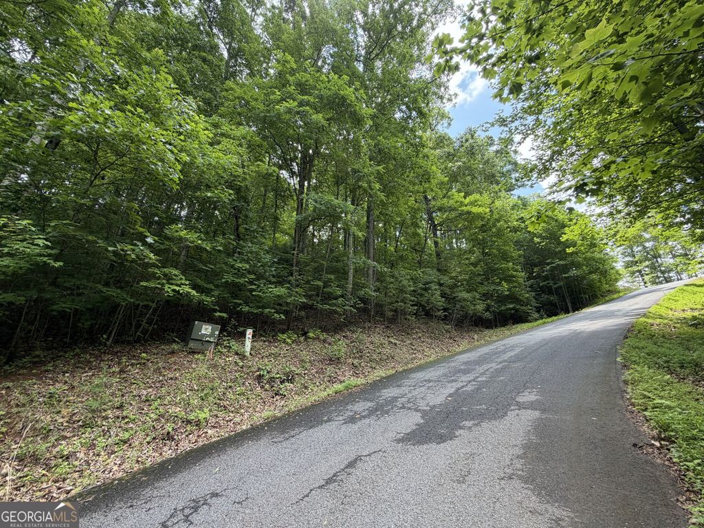 LOT 6 & 7 Mill Ridge Road, Hiawassee, GA 30546