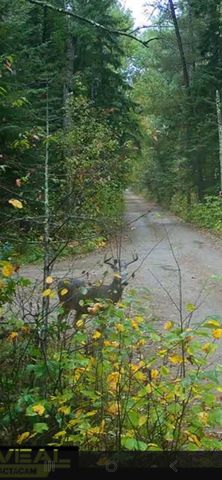 30027 225th Avenue, Nevis, MN 56467