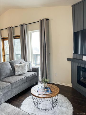 141 Quartzville Road, Alma, CO 80420