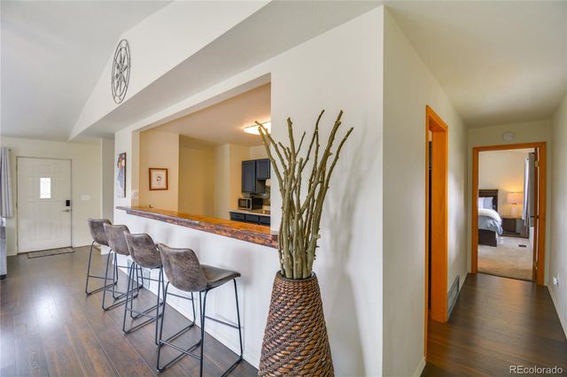 141 Quartzville Road, Alma, CO 80420