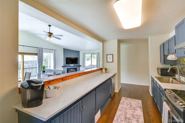 141 Quartzville Road, Alma, CO 80420