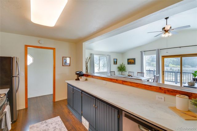 141 Quartzville Road, Alma, CO 80420