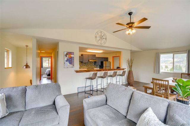 141 Quartzville Road, Alma, CO 80420