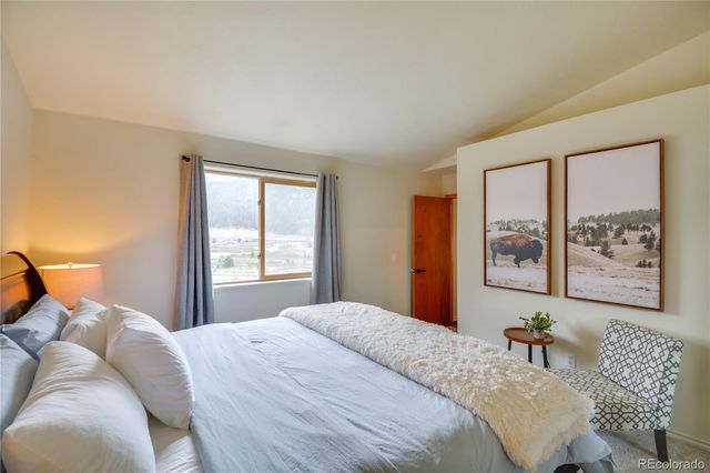 141 Quartzville Road, Alma, CO 80420