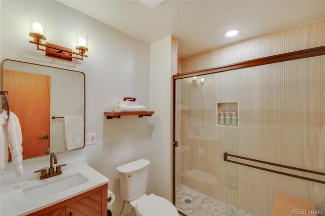 141 Quartzville Road, Alma, CO 80420