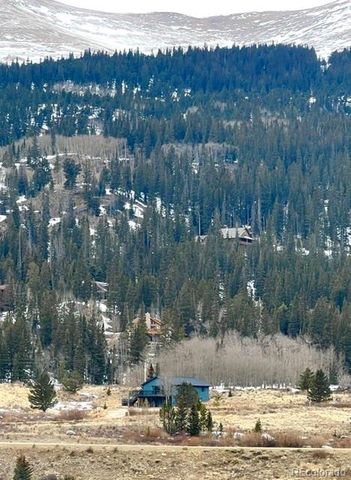 141 Quartzville Road, Alma, CO 80420