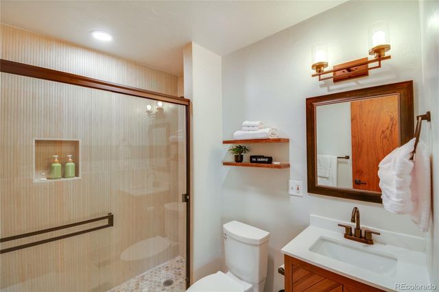 141 Quartzville Road, Alma, CO 80420