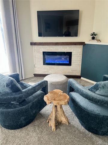 141 Quartzville Road, Alma, CO 80420