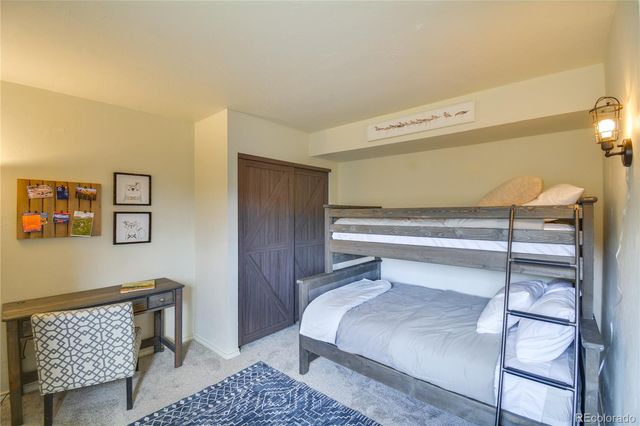 141 Quartzville Road, Alma, CO 80420