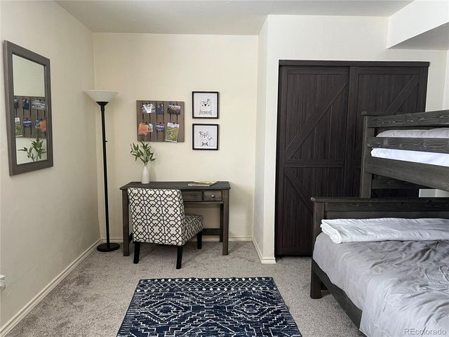 141 Quartzville Road, Alma, CO 80420