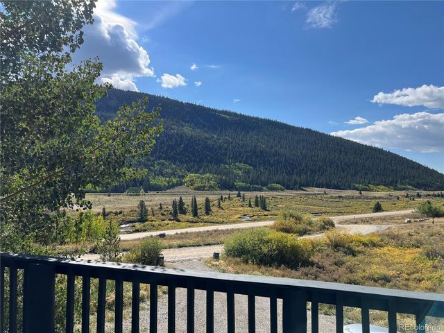 141 Quartzville Road, Alma, CO 80420