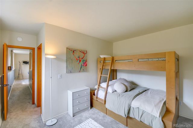 141 Quartzville Road, Alma, CO 80420