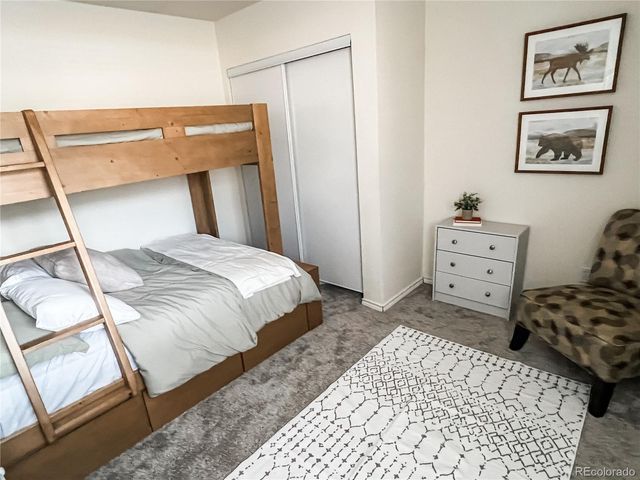 141 Quartzville Road, Alma, CO 80420