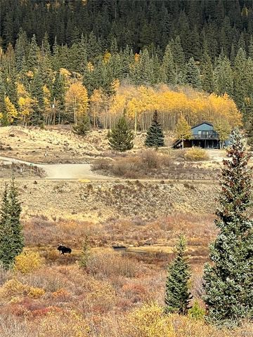 141 Quartzville Road, Alma, CO 80420