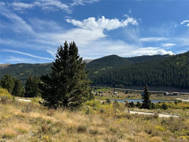 141 Quartzville Road, Alma, CO 80420