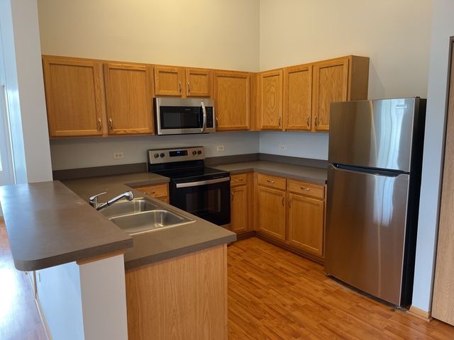 1517 Silverstone Drive 1517, Carpentersville, IL 60110