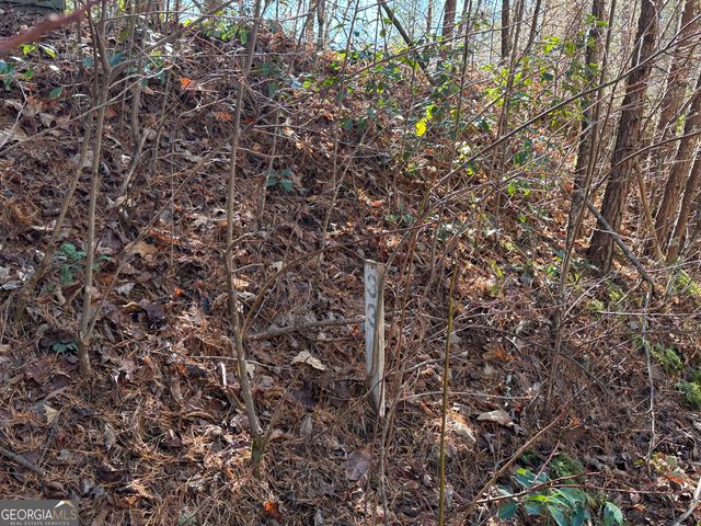 LOT 33 East Ridge Lane, Ellijay, GA 30536