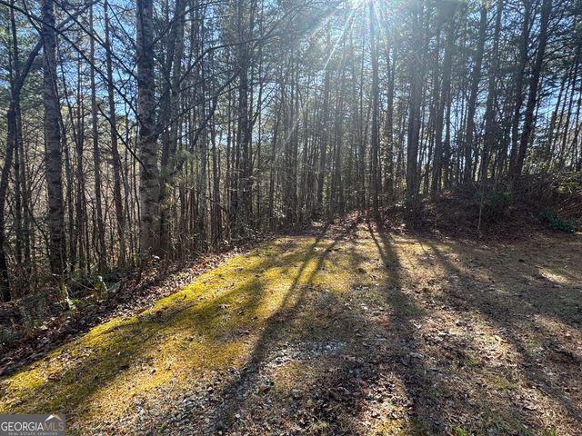 LOT 33 East Ridge Lane, Ellijay, GA 30536