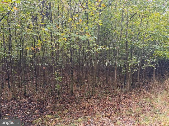 BLACK SWAMP ROAD, Felton, DE 19943