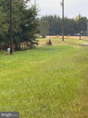 BLACK SWAMP ROAD, Felton, DE 19943