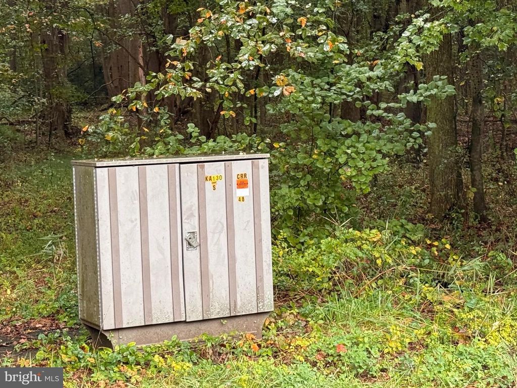 BLACK SWAMP ROAD, Felton, DE 19943